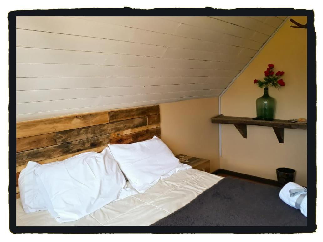 La Llar Hostel Panguipulli Esterno foto